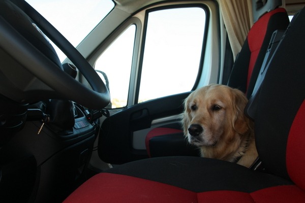 Co-Pilot im Praktikum