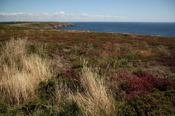 Pointe du Raz, Cap Sizun