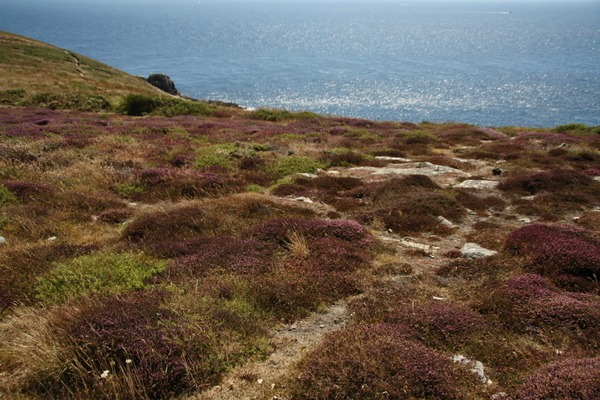 Pointe du Raz