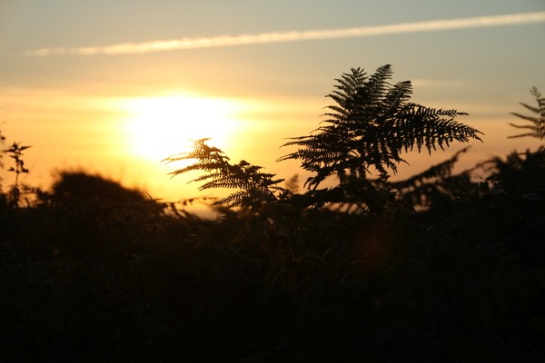Sonnenuntergang - Bretagne