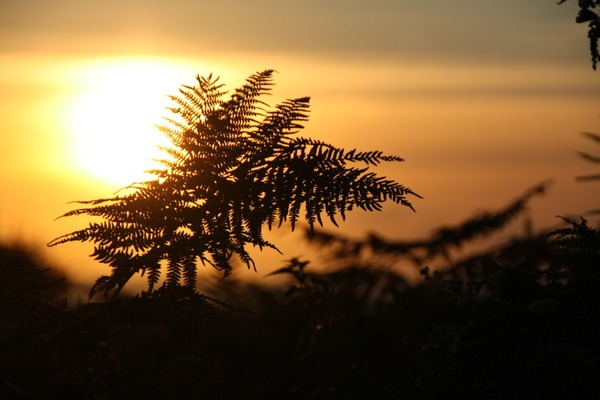 Sonnenuntergang - Bretagne