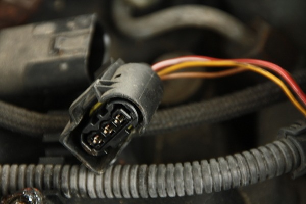 Stecker