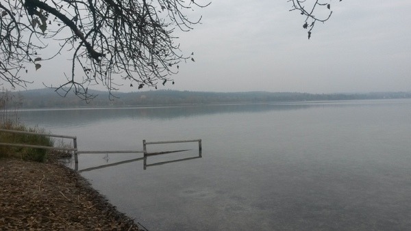 Mettnau