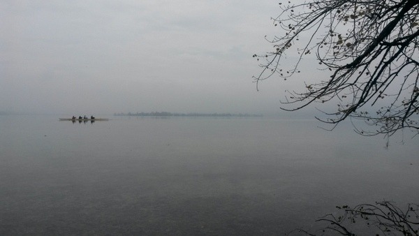 da drüben: die Reichenau