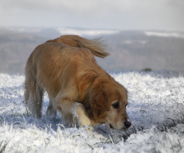 Schnee!