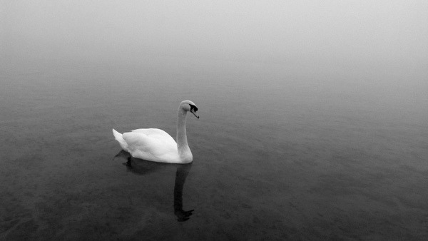am Untersee