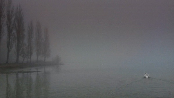 am Untersee