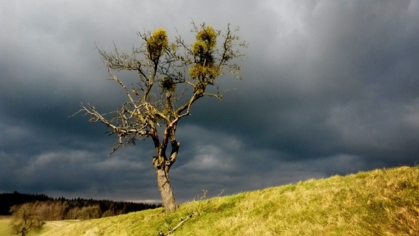 Sonne & Wolken