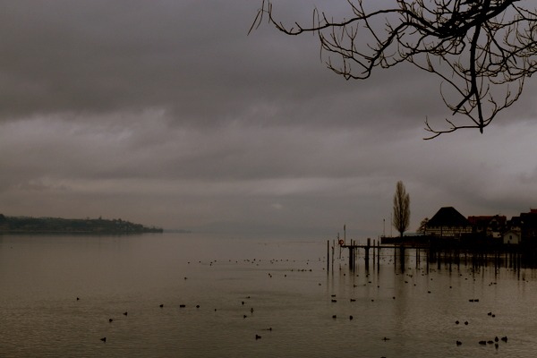 Winter am See