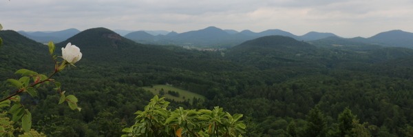 Lindlbrunn - die Aussicht