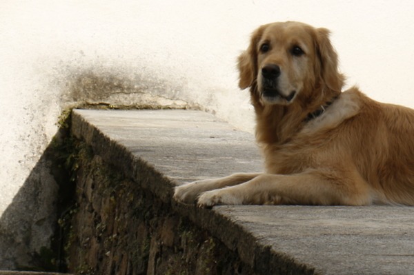 chillen auf der Mauer