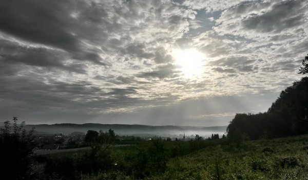 07:45 - oberhalb von Wahlwies