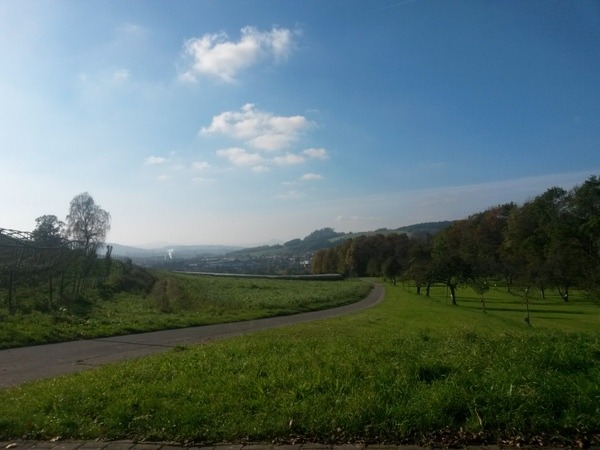 Streuobstwiese