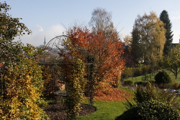 schön bunt im Garten