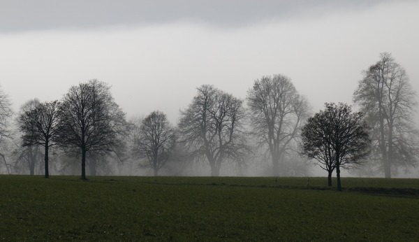 grenzwertig