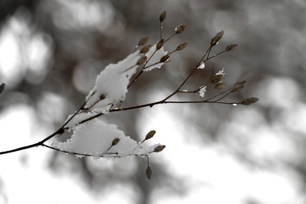 Winterzauber