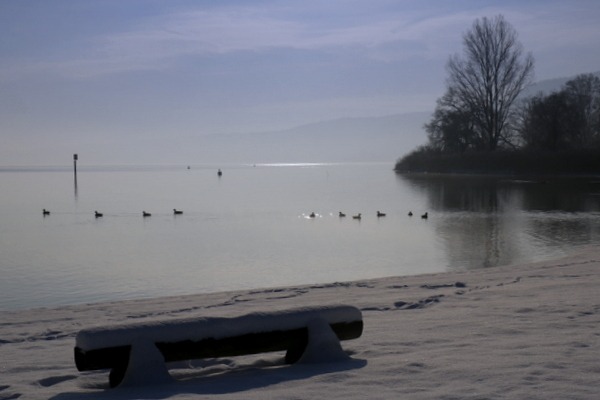 am Seeende