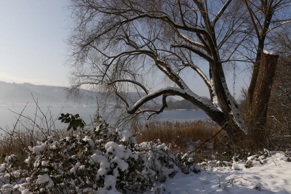 Sonne, Schnee & der blaue See