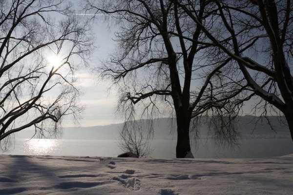 Ufer im Winterschlaf