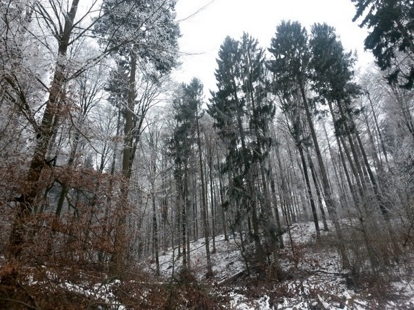 ein klein wenig Farbe