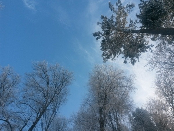 blau & weiß