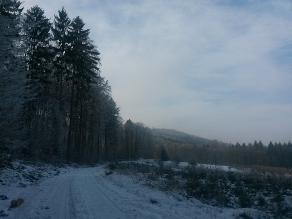 am Waldrand