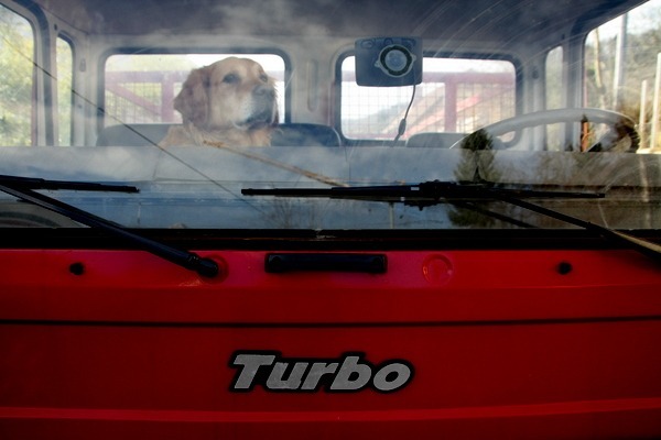 Copilot an Bord