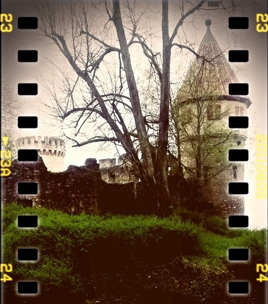 Ruine Honberg