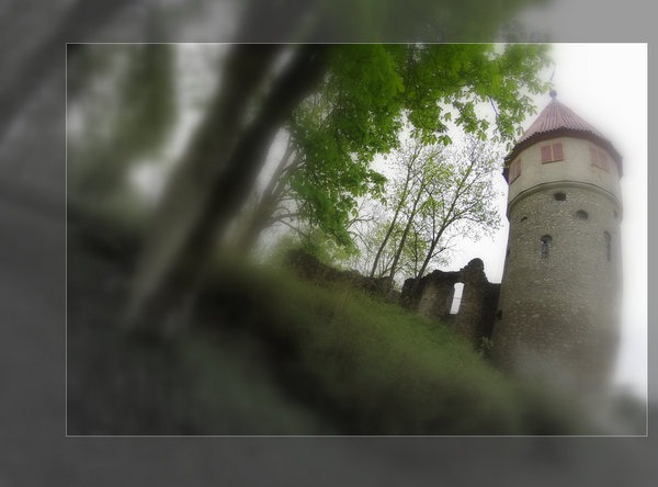 Ruine Honberg