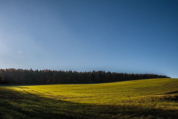 Herbstfarben - warten auf den Frühling