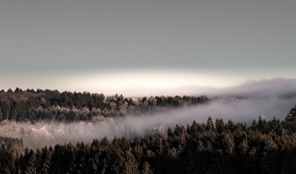 Lichtblick