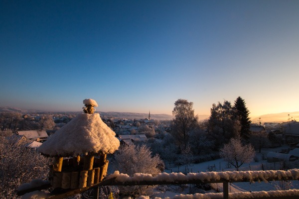 Sonnenaufgang an der Vogeltheke