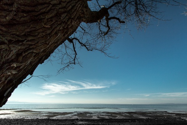 Bodensee bei Langenargen