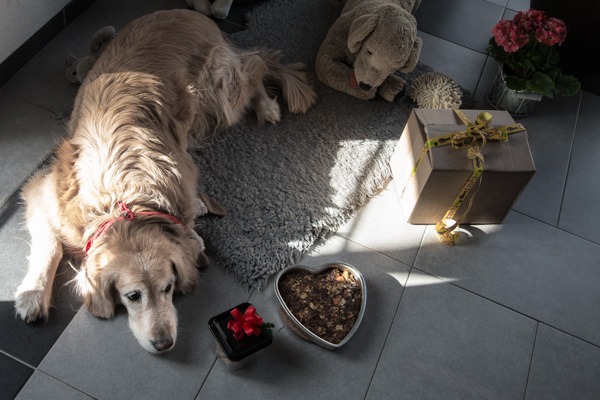hab Geburtstag!