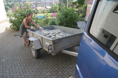 schon wieder per Hand