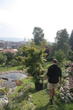 ab in den Garten