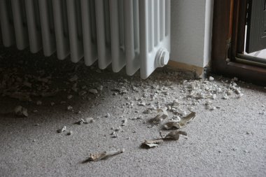 neues Projekt