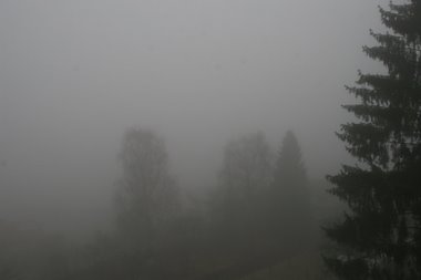 Nebel über Wahlwies