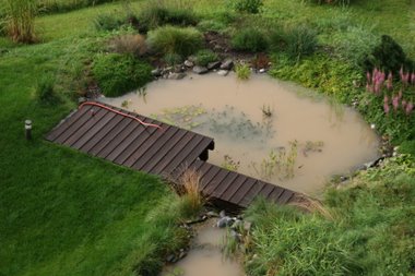 Schlamm im Teich