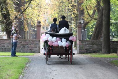 Hochzeitsschutsche Hochzeitsschutsche