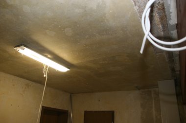 Decke befret