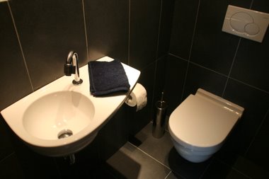 das neue WC das neue WC