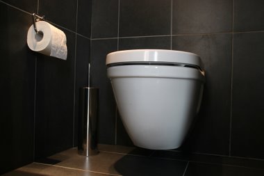 WC mit Regenwasserspülung WC mit Regenwasserspülung