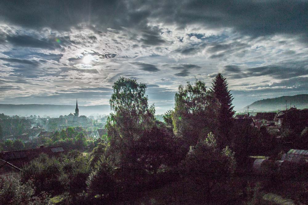 misty Morning