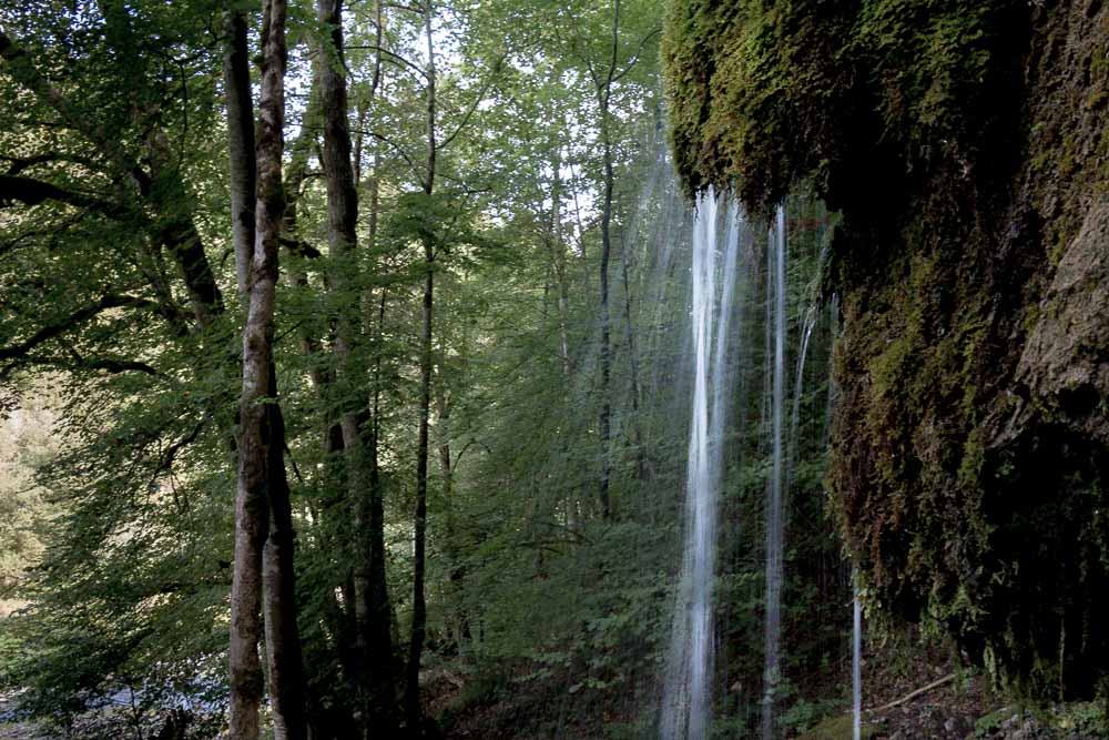Wutachschlucht
