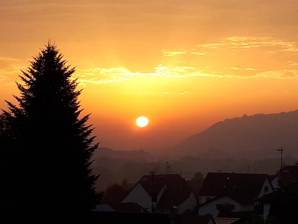 Sonnenaufgang über dem See