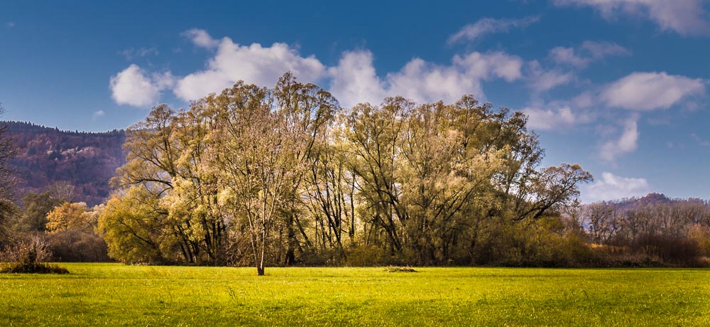 Herbst oder Frühling?