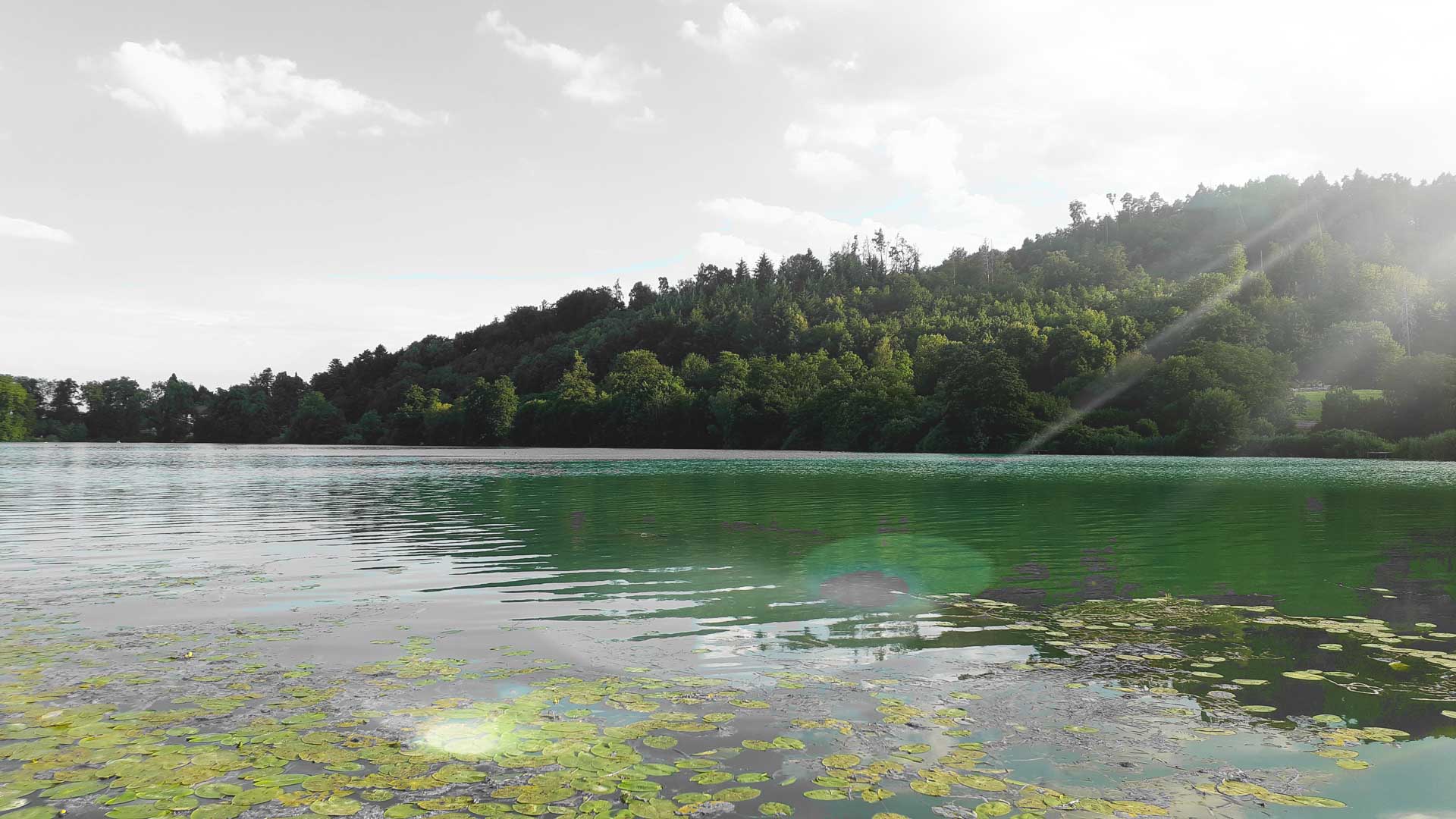 am Steißlinger See