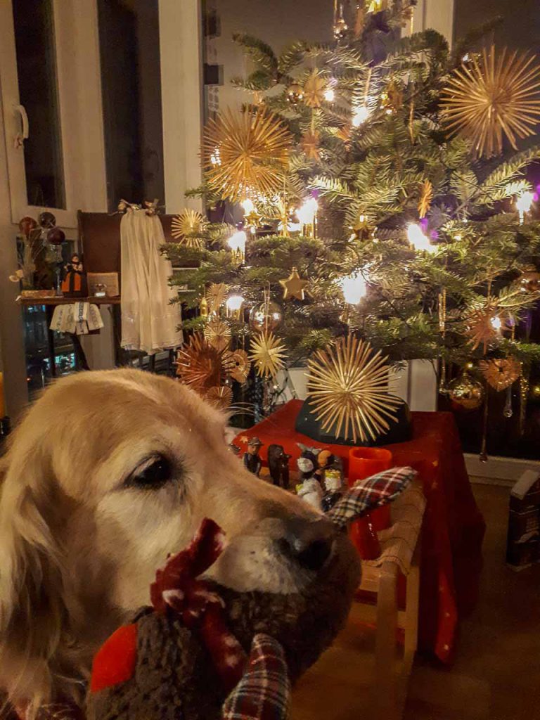 Weihnachten bei m@