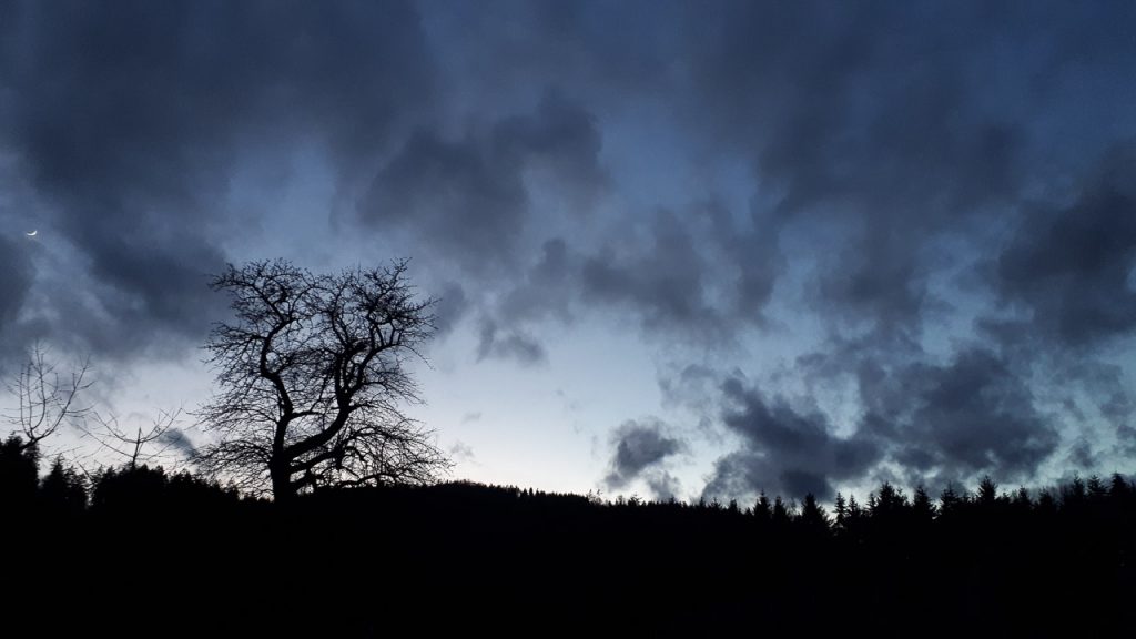sky shot - 45